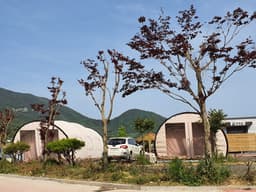 더하루캠핑파크