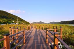여수 가사리 생태공원