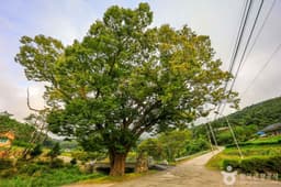 양평 쌍겨리마을