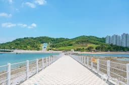 예술의 섬 장도