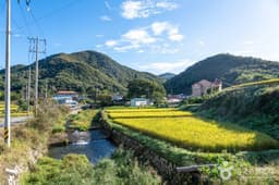 은골구기자마을