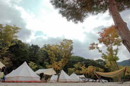 파피루스캠핑장