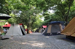 영월계곡 느티별캠핑장