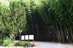 대나무골오토캠핑장