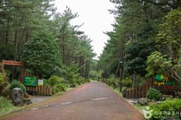 붉은오름자연휴양림