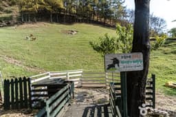 하늘마루염소목장