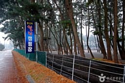 몽산포힐링캠핑장