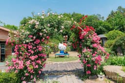 풀향기 허브나라&토이박물관