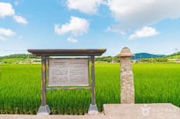 무안발산마을미륵당산