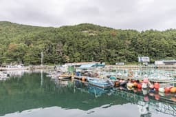 궁항어촌체험마을