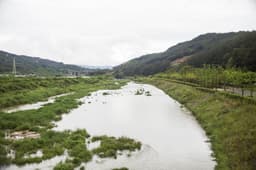 어촌 마을에서 보내는 여름향기