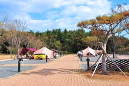 황방산생태야영장