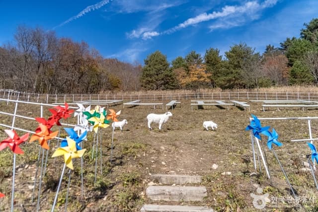 Image 10