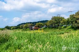 탄천민물고기습지생태원