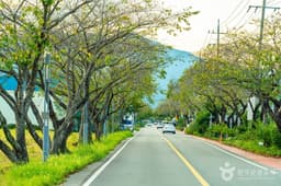 하동명품배거리