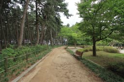 솔바람캠핑장