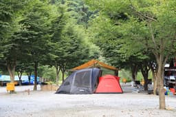 영월 약수터 캠핑장