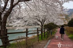 동구리호수공원