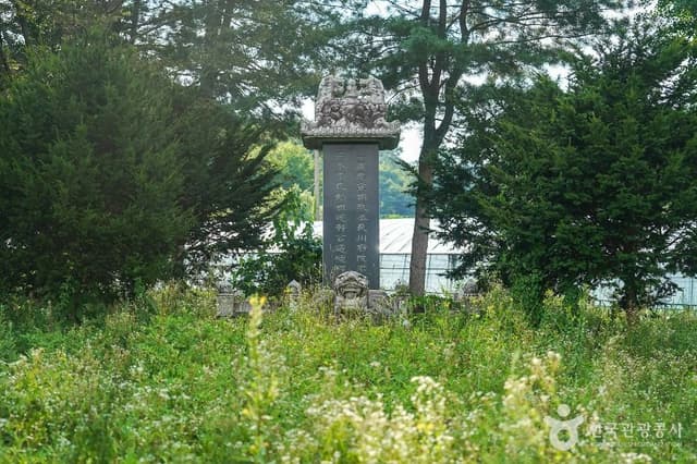 Image 0