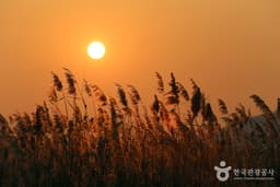차디찬 겨울을 온 몸으로 맞다