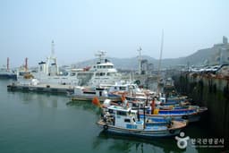 외연도 상록수림에서 즐기는 힐링 여행