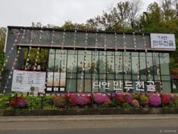 디안만두전골