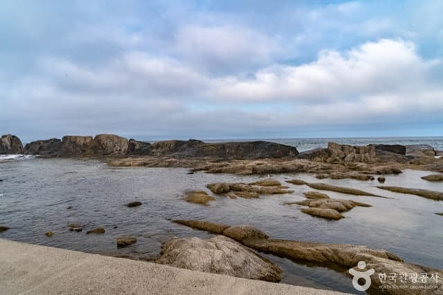 Image 15