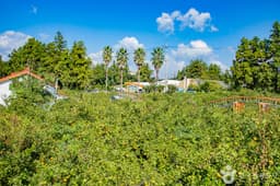 최남단체험감귤농장