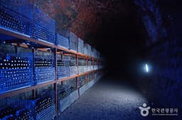 반시로 만든 청도만의 와인 터널로 초대합니다