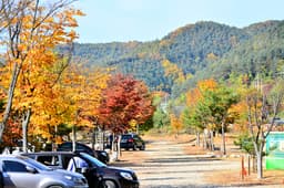 은빛물결캠핑장