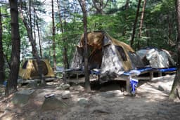 성주봉자연휴양림 야영장