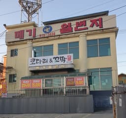 메기일번지