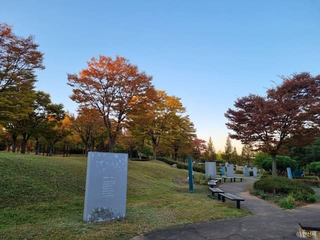 Image 14