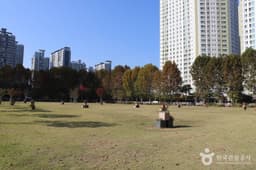 부천시민운동장