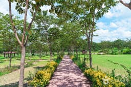 부안 줄포만 노을빛 정원