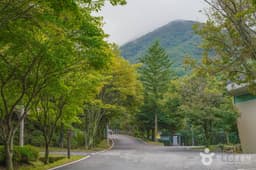 와룡자연휴양림