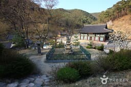 고운사 숲길도 걷고, 애플와인 체험도 하고