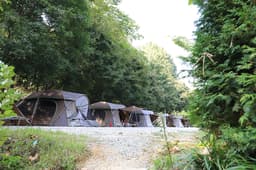 비발디캠핑파크