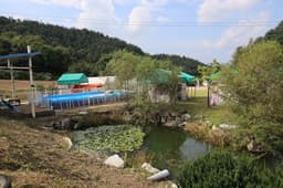 링크독애견파크 글램핑&오토캠핑장