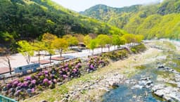 소선암오토캠핑장