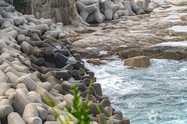 Image 16