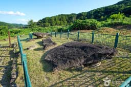 거창 내오리 지석묘