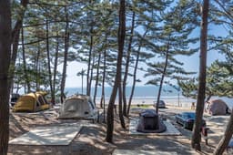 사목공원캠핑장