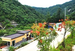 바람부리별밤캠핑장 관광농원