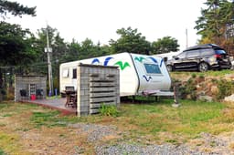 트로피칼드림카라반