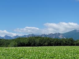 강원평화누리길 16코스 고성 울산바위비경길
