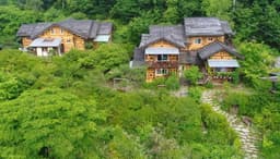 돌배나무세그루