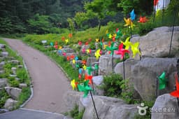 태백산을 마주보고 걷다