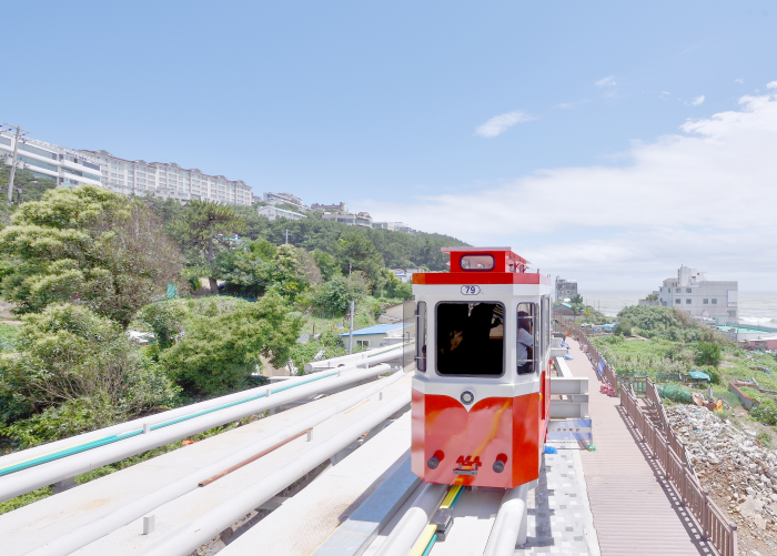 부산과 울산 여행을 한번에! 1박2일 여행 코스 추천