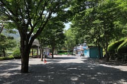 영월솔향기캠핑장